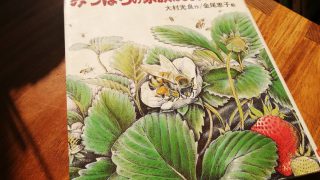 みつばちの家族は50000びき　作：大村光良/絵：金尾恵子