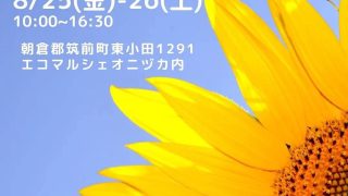 もりのかざいろフェア& アロマワークショップ開催中です‼︎