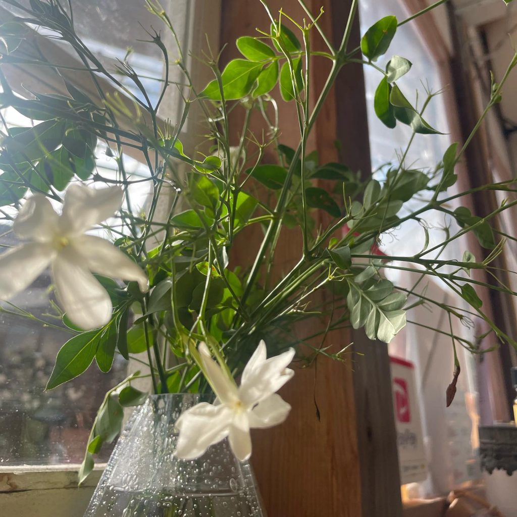 Jasmine Houseについて ジャスミンハウス（Jasmine House）ナード・ジャパン認定アロマスクール、福岡県朝倉郡筑前町町