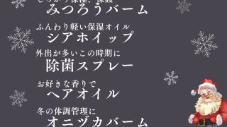 冬のワークショップ開催します♪